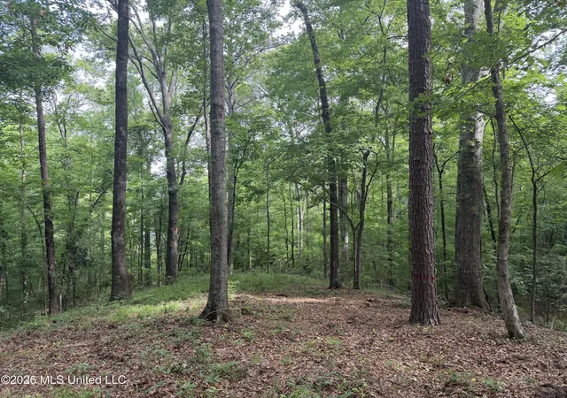 Photo 3 of Land for sale at Evergreen Dr, Brandon, MS 39042 | MLS# 4149036 | Listing updated on 2026-05-16