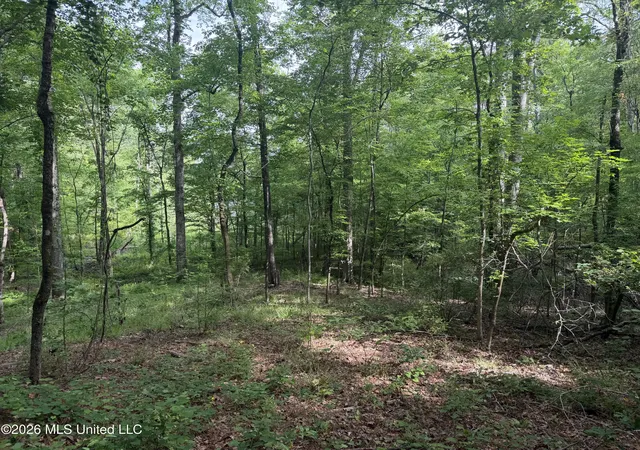 Photo 4 of Land for sale at Evergreen Dr, Brandon, MS 39042 | MLS# 4149036 | Listing updated on 2026-05-16