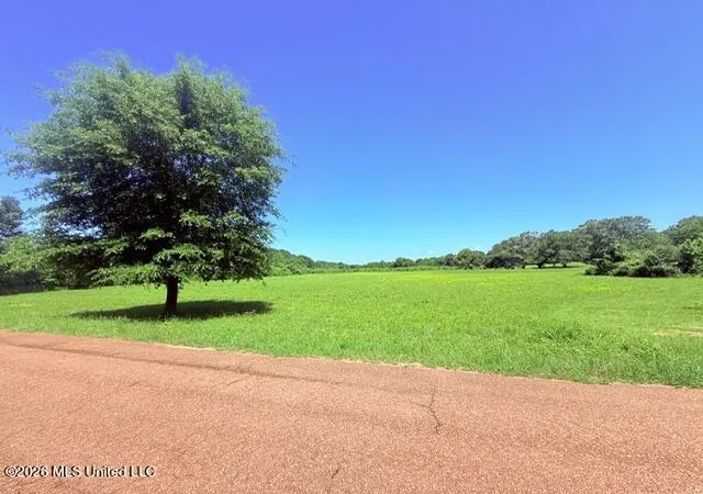 Homes for sale in Magnolia, MS | Union Church Rd, Magnolia, MS 39652 | MLS# 4149073