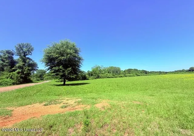 Homes for sale in Magnolia, MS | Union Church Rd, Magnolia, MS 39652 | MLS# 4149073