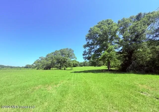 Homes for sale in Magnolia, MS | Union Church Rd, Magnolia, MS 39652 | MLS# 4149073