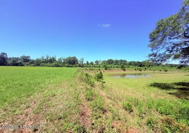 Homes for sale in Magnolia, MS | Union Church Rd, Magnolia, MS 39652 | MLS# 4149073