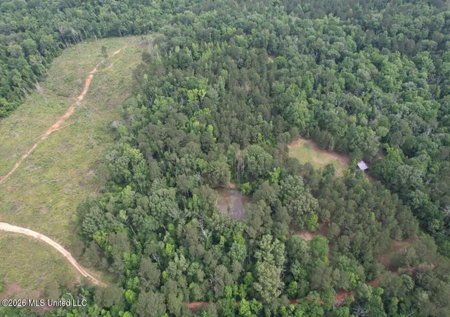 Homes for sale in Liberty, MS | 4155 Sterling Ln, Liberty, MS 39645 | MLS# 4149100