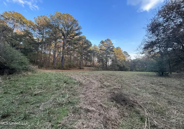Homes for sale in Osyka, MS | 4024 Old Mill Rd, Osyka, MS 39657 | MLS# 4149173