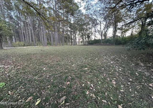 Homes for sale in Osyka, MS | 4024 Old Mill Rd, Osyka, MS 39657 | MLS# 4149173