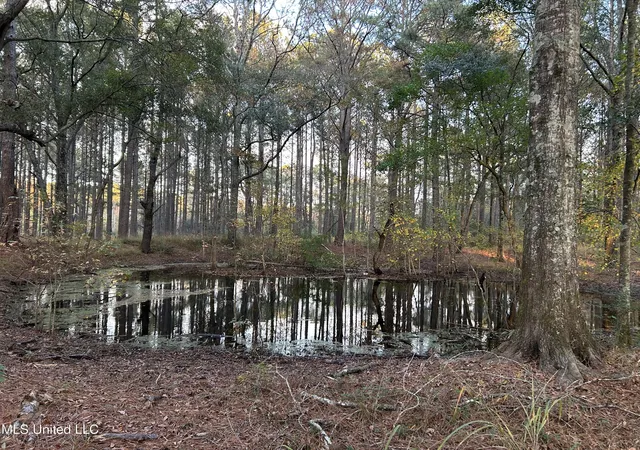 Homes for sale in Osyka, MS | 4024 Old Mill Rd, Osyka, MS 39657 | MLS# 4149173