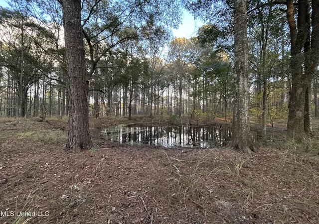 Homes for sale in Osyka, MS | 4024 Old Mill Rd, Osyka, MS 39657 | MLS# 4149173