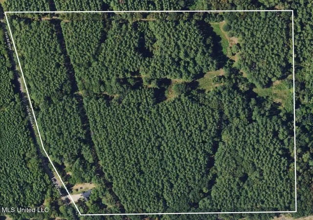 Homes for sale in Osyka, MS | 4024 Old Mill Rd, Osyka, MS 39657 | MLS# 4149173
