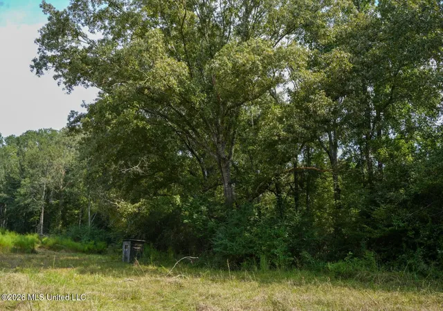 Homes for sale in Crystal Springs, MS | Bethesda Rd, Crystal Springs, MS 39059 | MLS# 4149174