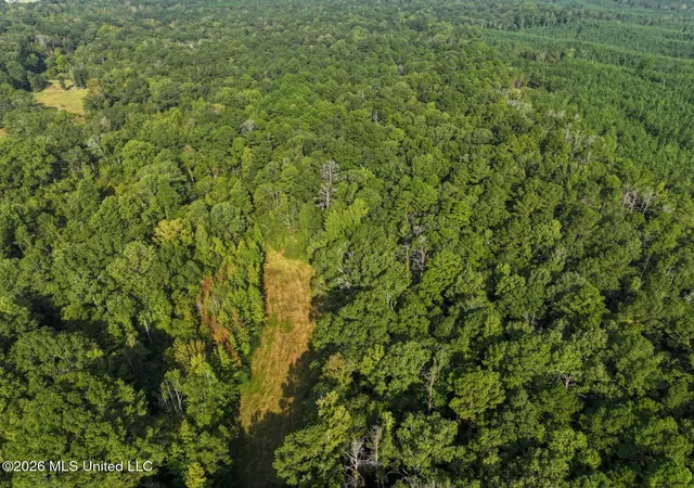 Homes for sale in Crystal Springs, MS | Bethesda Rd, Crystal Springs, MS 39059 | MLS# 4149174