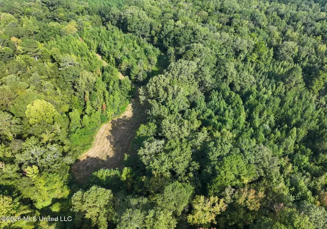 Homes for sale in Crystal Springs, MS | Bethesda Rd, Crystal Springs, MS 39059 | MLS# 4149174
