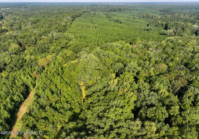 Homes for sale in Crystal Springs, MS | Bethesda Rd, Crystal Springs, MS 39059 | MLS# 4149174