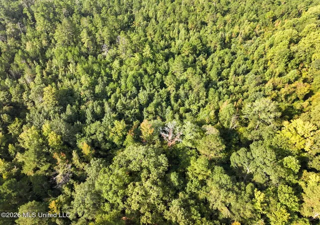 Homes for sale in Crystal Springs, MS | Bethesda Rd, Crystal Springs, MS 39059 | MLS# 4149174