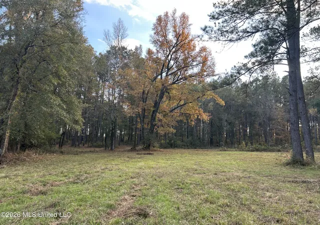 Photo 1 of Sale Pending at 4024 Old Ml Rd, Osyka, MS 39657 | MLS# 4149181 | Listing updated on 2026-09-24