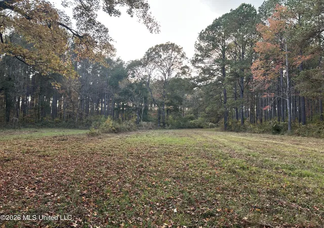 Photo 3 of Sale Pending at 4024 Old Ml Rd, Osyka, MS 39657 | MLS# 4149181 | Listing updated on 2026-09-24