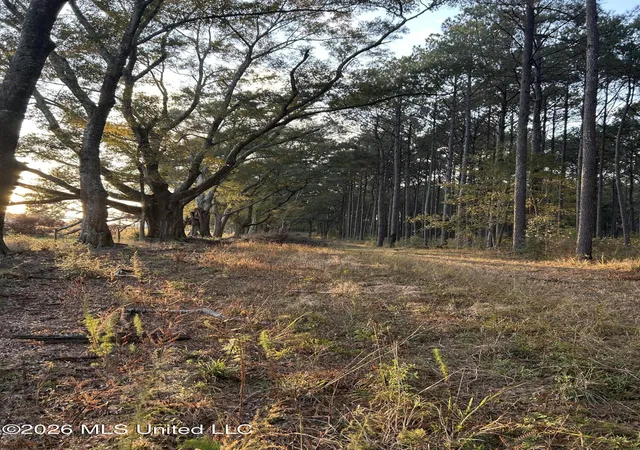 Photo 3 of Sale Pending at 4024 Old Ml Rd, Osyka, MS 39657 | MLS# 4149181 | Listing updated on 2026-09-24