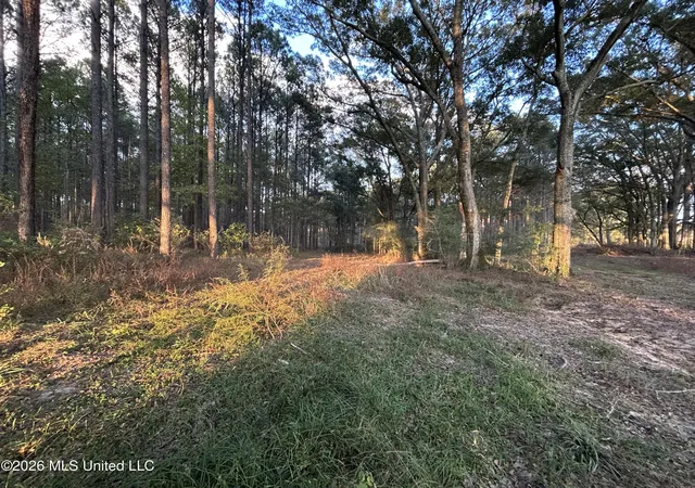Photo 4 of Sale Pending at 4024 Old Ml Rd, Osyka, MS 39657 | MLS# 4149181 | Listing updated on 2026-09-24