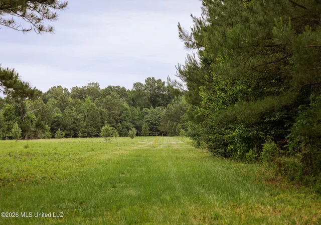 Homes for sale in Gloster, MS | Lewis Ln, Gloster, MS 39638 | MLS# 4149215