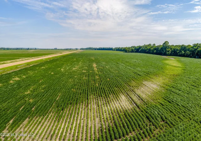 Homes for sale in Tunica, MS | Hwy 3, Tunica, MS 38676 | MLS# 4149354