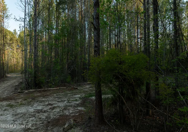 18th image of Sand Hill Rd, Brandon, MS 39047 | MLS# 4149389