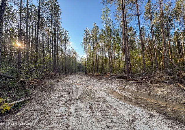 4th image of Sand Hill Rd, Brandon, MS 39047 | MLS# 4149389