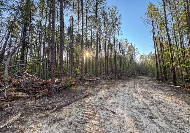 5th image of Sand Hill Rd, Brandon, MS 39047 | MLS# 4149389