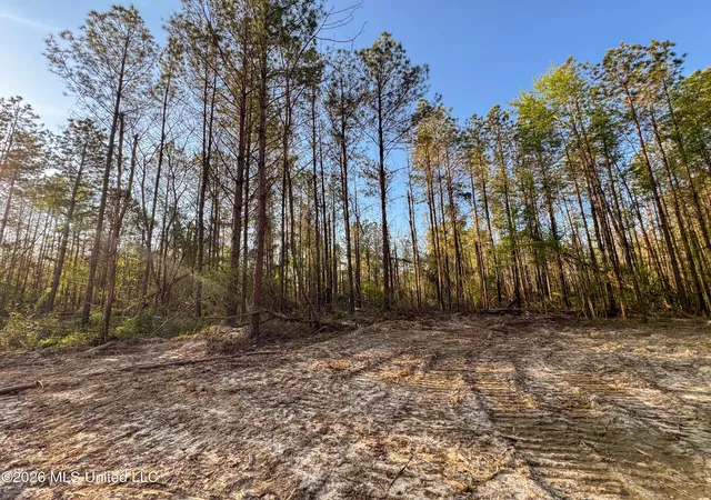 10th image of Taylor Ln, Brandon, MS 39047 | MLS# 4149396