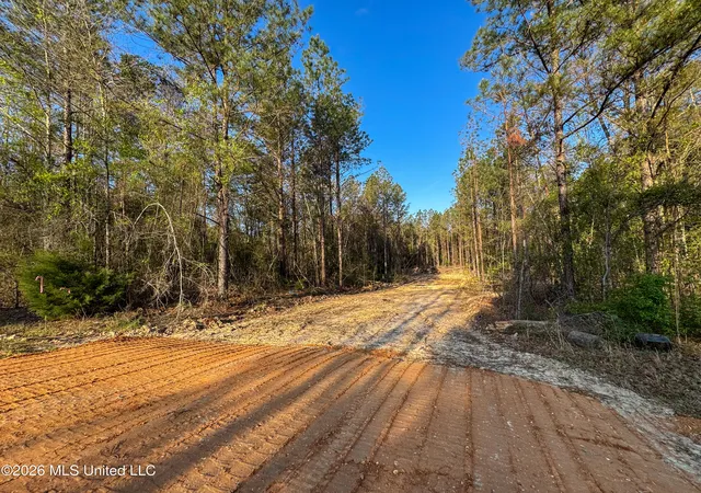 4th image of Taylor Ln, Brandon, MS 39047 | MLS# 4149396