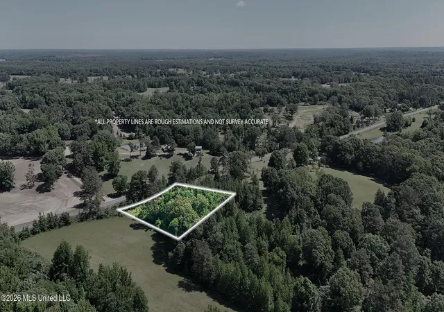 Homes for sale in Senatobia, MS | 0 Looxahoma-Tyro Rd, Senatobia, MS 38668 | MLS# 4149560
