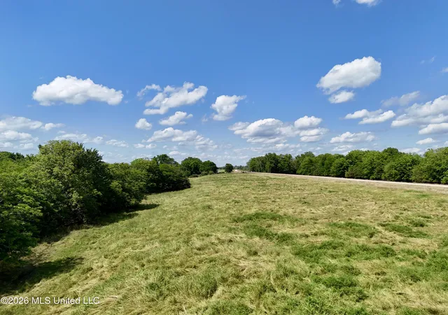Homes for sale in Redwood, MS | 00002 Levee Maintenance Rd, Redwood, MS 39156 | MLS# 4149556