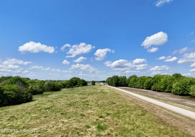 3rd image of 00002 Levee Maintenance Rd, Redwood, MS 39156 | MLS# 4149556