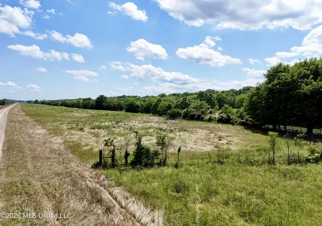 4th image of 00002 Levee Maintenance Rd, Redwood, MS 39156 | MLS# 4149556