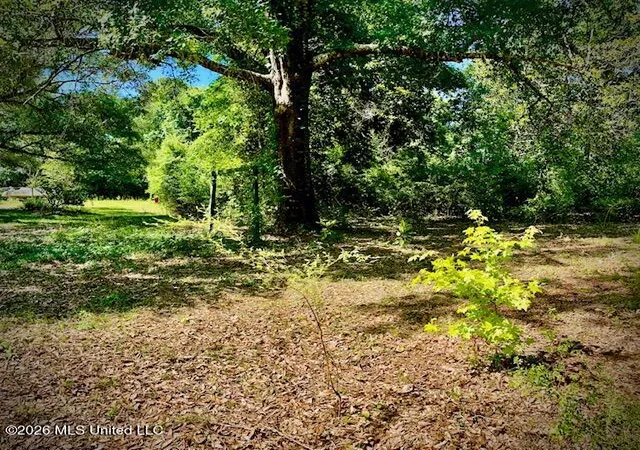 Photo 4 of Land for sale at 2718 Brumbaugh Rd, Ocean Springs, MS 39564 | MLS# 4149570 | Listing updated on 2026-09-01