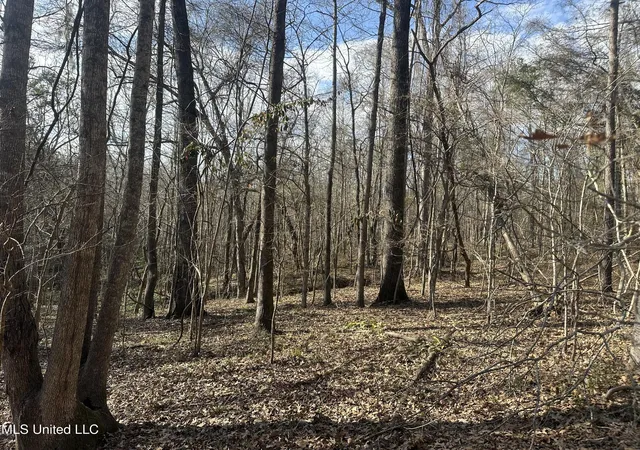 1st image of Dunbar Rd, Natchez, MS 39120 | MLS# 4149684