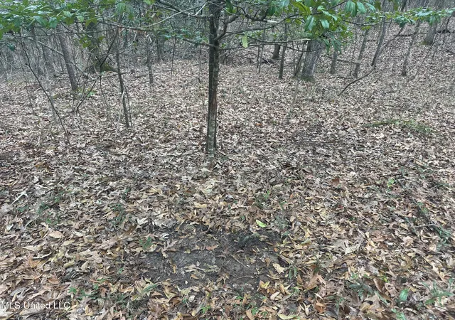 3rd image of Dunbar Rd, Natchez, MS 39120 | MLS# 4149684