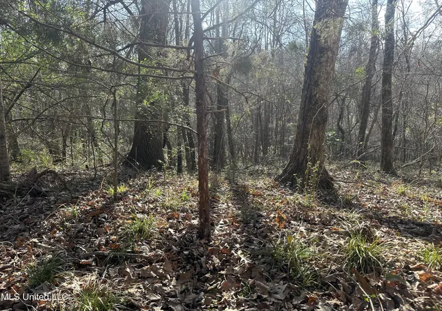 5th image of Dunbar Rd, Natchez, MS 39120 | MLS# 4149684