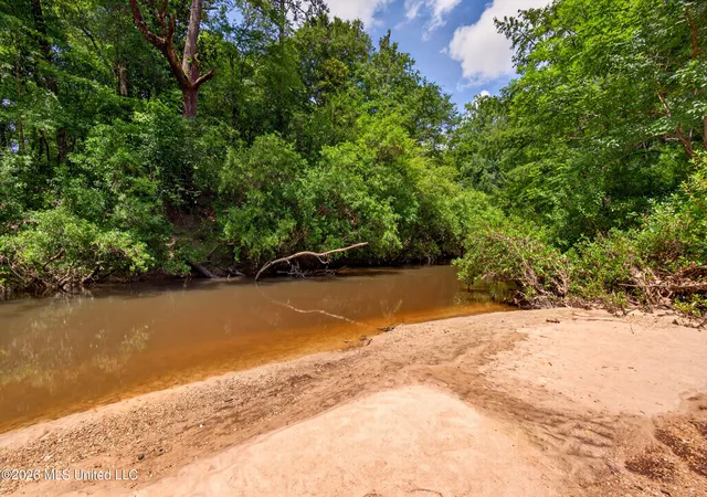 Homes for sale in Columbia, MS | 78 Game Reserve Rd, Columbia, MS 39429 | MLS# 4149892