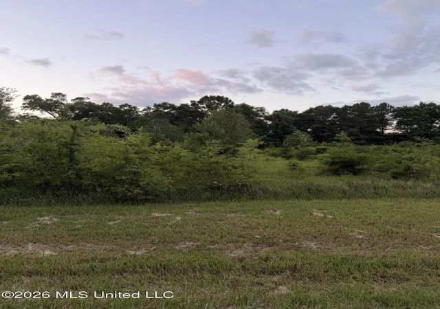 Homes for sale in Saucier, MS | 2771 E Mchenry Rd, Saucier, MS 39574 | MLS# 4149925