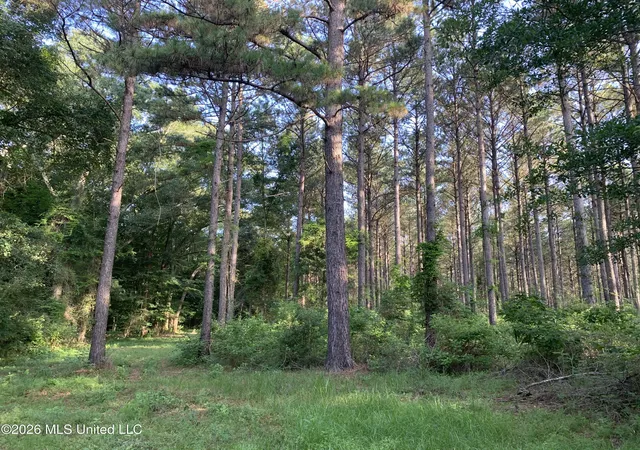 Homes for sale in Tylertown, MS | 000 Griffin Rd, Tylertown, MS 39667 | MLS# 4149724