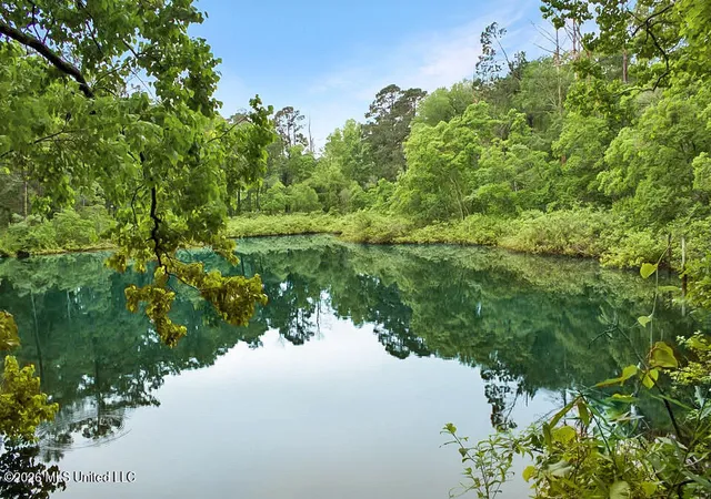 Homes for sale in Magnolia, MS | 0 Magnolia Progress Rd, Magnolia, MS 39652 | MLS# 4149757