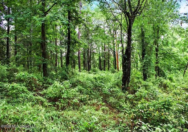 Homes for sale in Magnolia, MS | 0 Magnolia Progress Rd, Magnolia, MS 39652 | MLS# 4149757