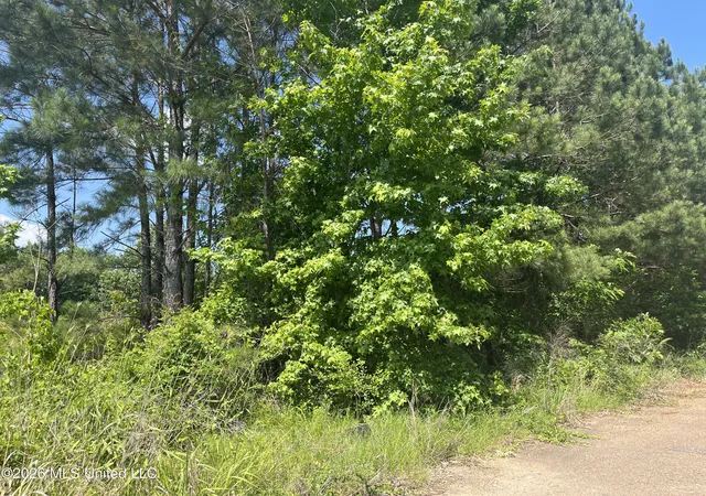 Photo 3 of Land for sale at College Hl Dr, Jackson, MS 39209 | MLS# 4149776 | Listing updated on 2026-05-18