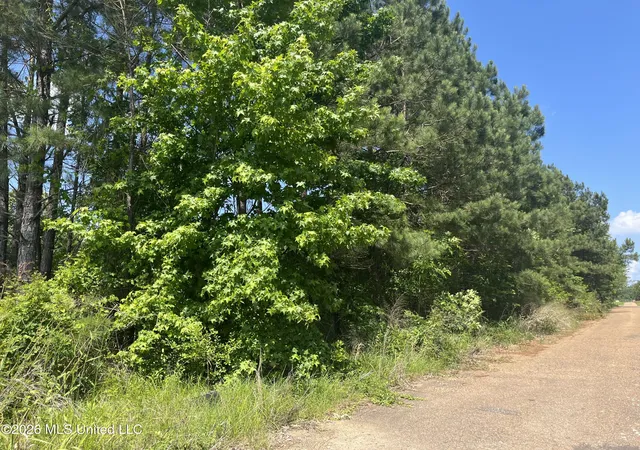Photo 3 of Land for sale at College Hl Dr, Jackson, MS 39209 | MLS# 4149776 | Listing updated on 2026-05-18