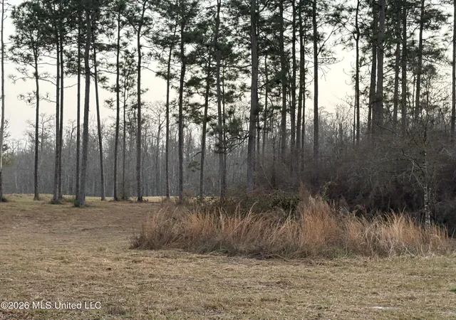 Photo 3 of Land for sale at Greenfields Rd, Moss Point, MS 39562 | MLS# 4149793 | Listing updated on 2026-05-19