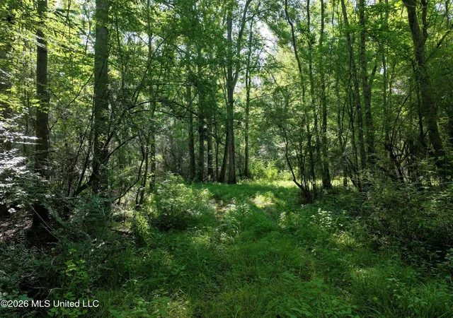 Homes for sale in Bogue Chitto, MS | Us 51, Bogue Chitto, MS 39629 | MLS# 4149811