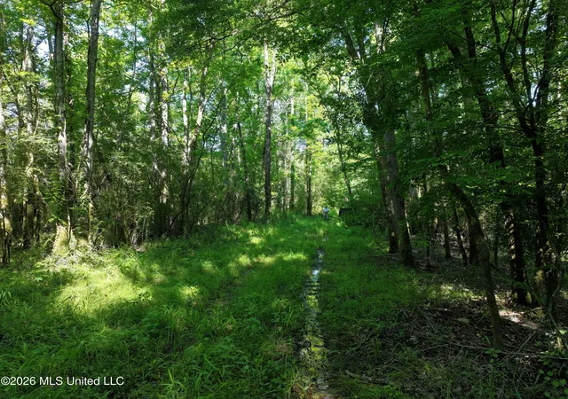 Homes for sale in Bogue Chitto, MS | Us 51, Bogue Chitto, MS 39629 | MLS# 4149811
