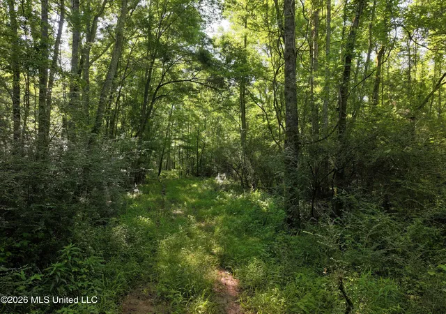 Homes for sale in Bogue Chitto, MS | Us 51, Bogue Chitto, MS 39629 | MLS# 4149811