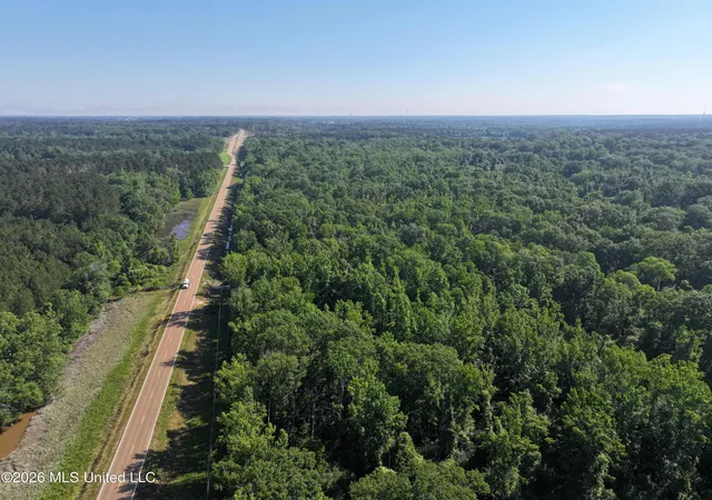Homes for sale in Bogue Chitto, MS | Us-51, Bogue Chitto, MS 39629 | MLS# 4149811