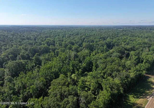Homes for sale in Bogue Chitto, MS | Us-51, Bogue Chitto, MS 39629 | MLS# 4149811