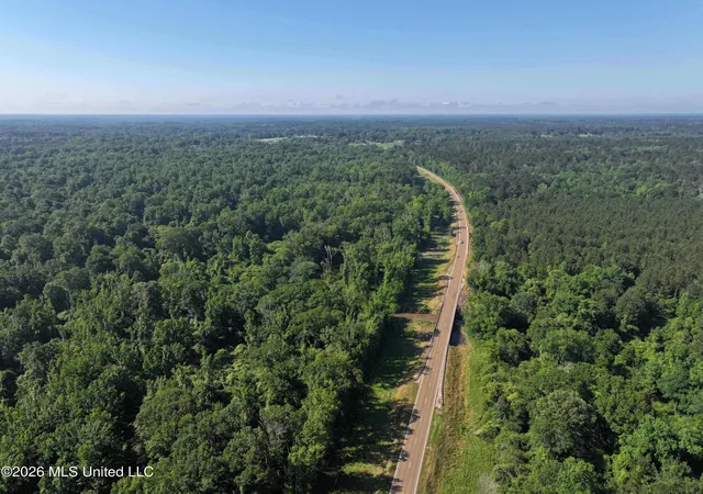 Homes for sale in Bogue Chitto, MS | Us-51, Bogue Chitto, MS 39629 | MLS# 4149811